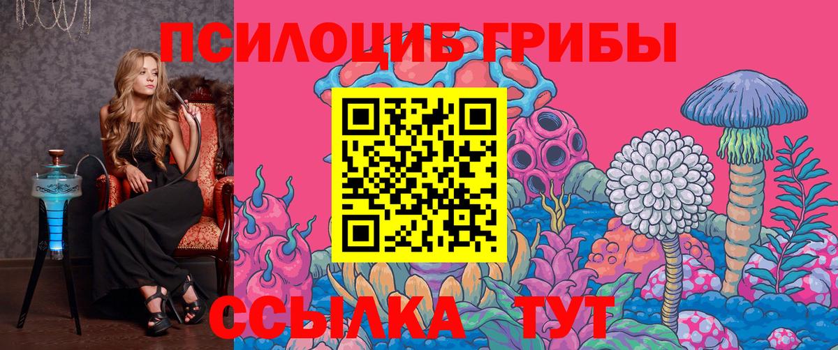 Бийск  Галлюциногенные грибы мухоморы  Вход с VPN 